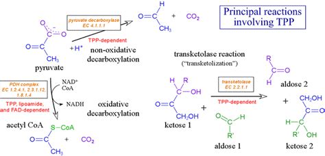 CHEM 245 Thiamine Pyrophosphate