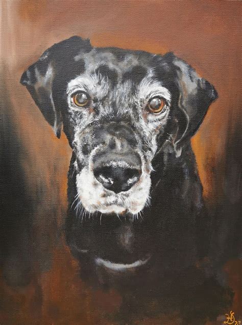 Bild Hund Portrait Malerei Von Heike Deininger