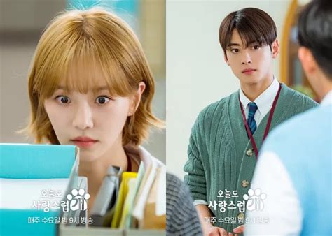 Spoiler Episode 14 Cha Eun Woo Ungkap Hubungan Dengan Park Gyu Young