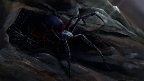 Cave Spider By Boot2099a On Deviantart