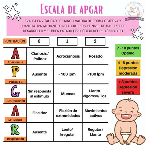 Escala De Apgar Notas Med Udocz