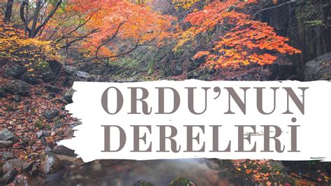 Ordunun Dereleri Oy Mehmedim Mehmedim T Rk S N N Hikayesi Karadeniz