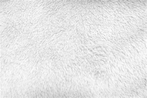 White Fur Texture Stock Photos Images And Backgrounds For Free Download