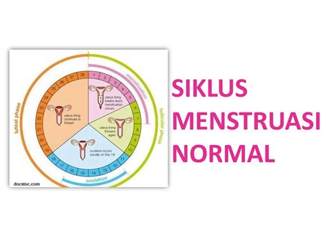 Gizi Dan Menstruasi Kapita Selekta Ppt Download