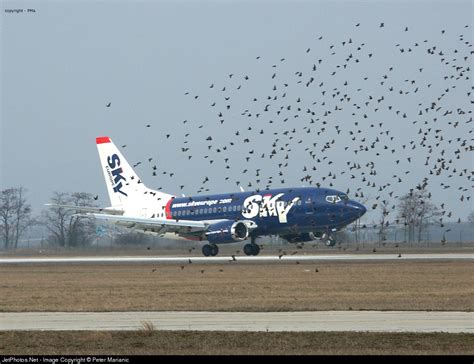 OM SEB Boeing 737 5Y0 SkyEurope Airlines Peter Marianic JetPhotos