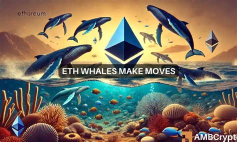 Ethereum se recupera las ballenas se apoderan de ETH La aprobación