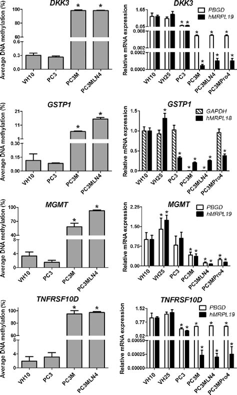 Figure 1 From Differential Gene Methylation Patterns In Cancerous And