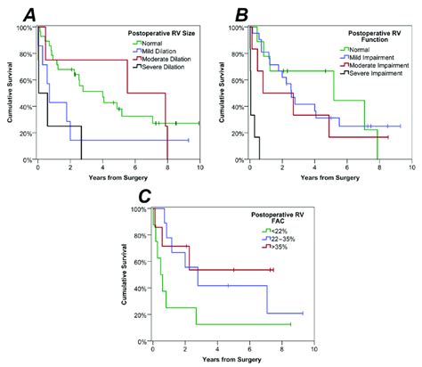 Kaplan Meier Curves Of Survival By Postoperative Tte Parameters For Download Scientific