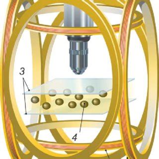 The Scheme Of The Experimental Setup For Studying The Dynamics Of