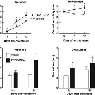 Pedf Dha Treatment Increased Sp Positive Epithelial Nerve Regeneration