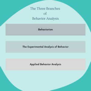explain behavior analysis      aba