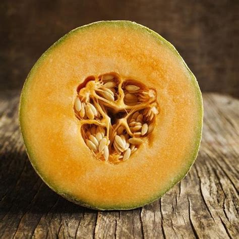 Rare Heirloom Organic Honey Rock Musk Melon Seeds Theseedvault