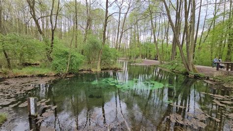 Vlog Niebieskie R D A Nature Reserve Tomasz W Mazowiecki Youtube