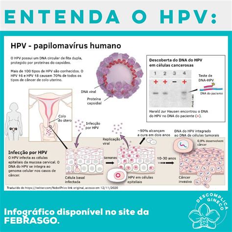 Câncer De Colo De Útero Dra Kadija Rahal Chrisostomo Ginecologista