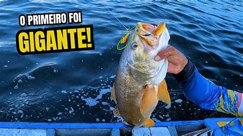 O PRIMEIRO PEIXE FOI GIGANTE PESCARIA DE ROBALOS E PESCADA NA COSTEIRA