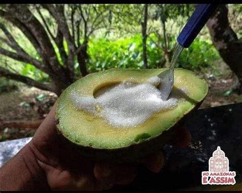 Abacate Com Açucar Engorda - Abacate com Açúcar - No Amazonas é Assim