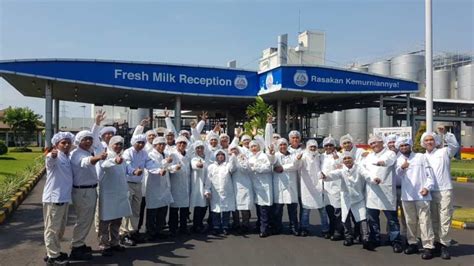 Gaji Karyawan Pt Nestle Indonesia Dan Jabatannya Update 2024