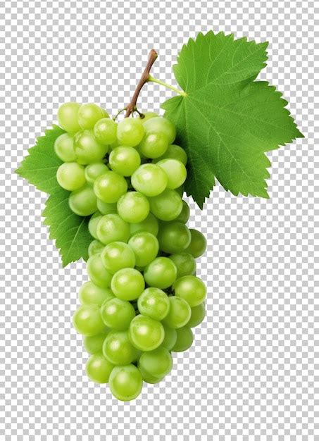 Uvas Verdes Frutas Isoladas Em Fundo Transparente Psd Premium