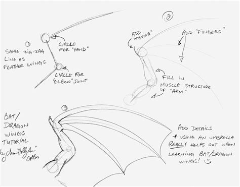 How To Draw Dragon Wings