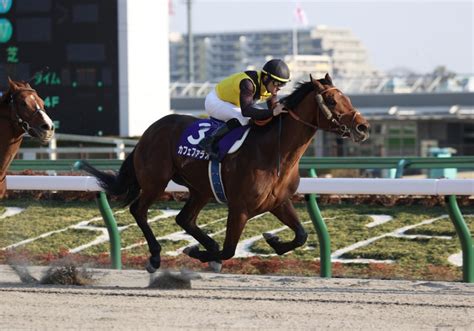 連覇か牝馬の初制覇か フェブラリーsを占う！ スポーツナビ