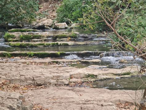 Sataf: Beautiful Hiking Trails Just Outside Jerusalem - Backpack Israel