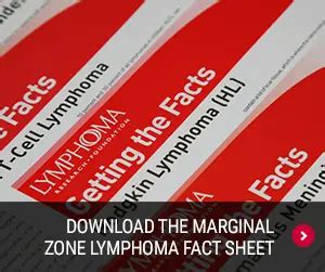 Marginal Zone Lymphoma: Treatment Options - LRF