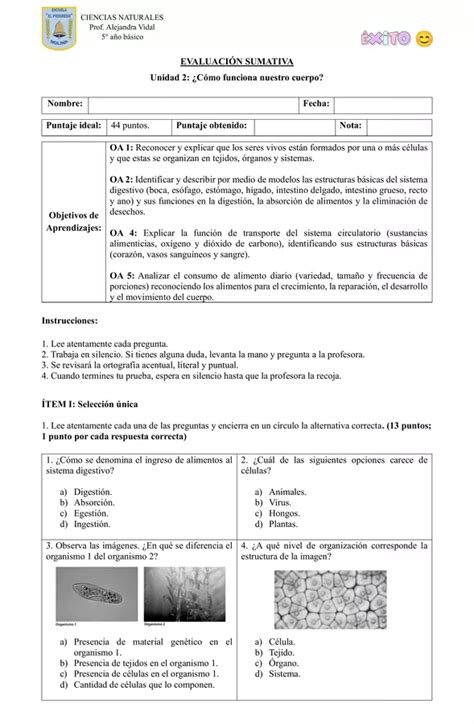 Ciencias Naturales Evaluación Sumativa Unidad 2 Profe Social