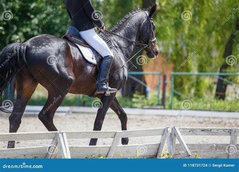 Girl Riding Horse on Dressage Competition Stock Photo - Image of ...