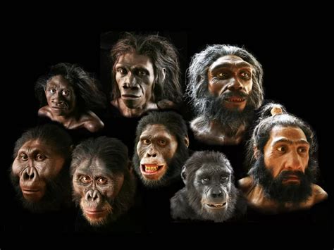 Reconstructions Of Early Humans The Smithsonian Institutions Human