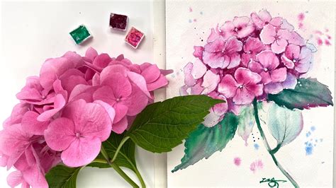 Lets Paint Hydrangea In Watercolor Step By Step Youtube