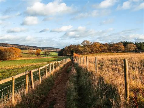 8 Best Surrey Hills Walks Full Route Guides She Walks In England