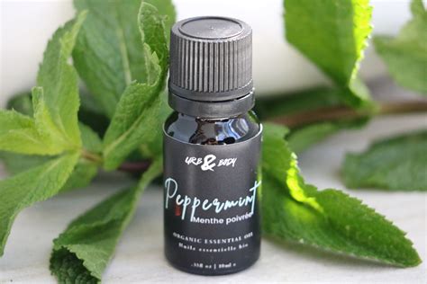 Organic Peppermint Essential Oil Urb And Body