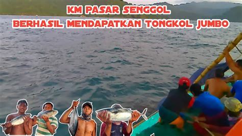 Km Pasar Senggol Berhasil Mendapatkan Tongkol Jumbo Ll Nelayan