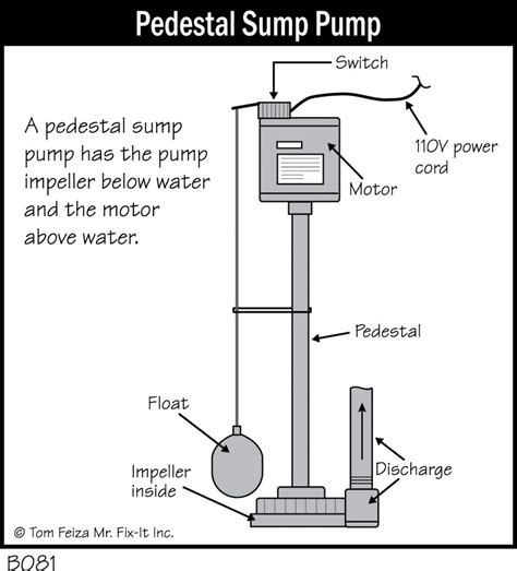 B081 - Pedestal Sump Pump - Covered Bridge Professional Home Inspections