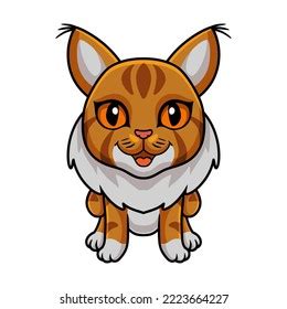 Cute Maine Coon Cat Cartoon Stock Vector Royalty Free 2223664227