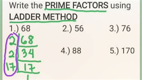 Write The Prime Factors Using Ladder Method Youtube