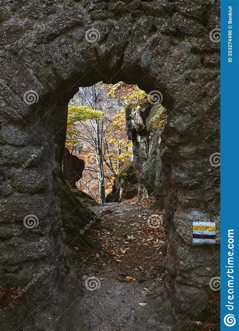 Bosque En El Parque Nacional De Karkonosze Foto De Archivo Imagen De