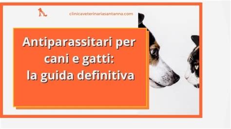 Prevenzione Parassiti Nel Cane E Gatto Ecco La Guida Definitiva Con