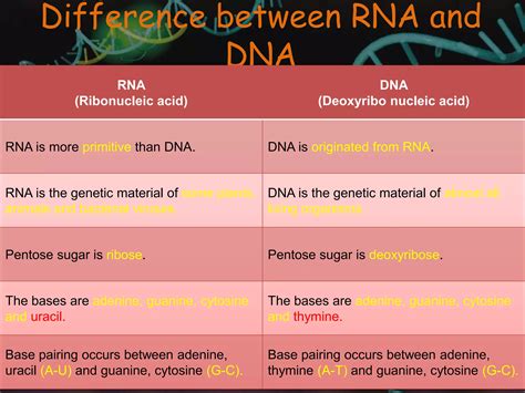 Structure Of Nucleic Acids Ppt