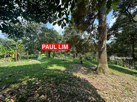 LAND SALE AT SUNGAI ARA 7 987 ACRE 200 DURIAN TREE RM50 PER SQFT VIEW