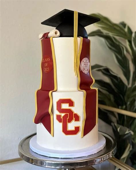 Amazing Graduation Cake Ideas For Beginner And Pro Bakers The