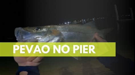 Robalo Peva No Jighead Pescando No P Er Do Rio Youtube