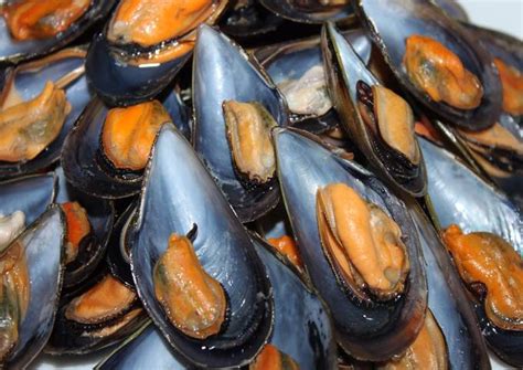 Mejillones Al Vapor Con Vino Blanco Paso A Paso Sudigastro