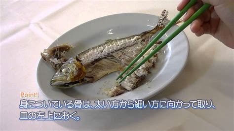 魚 食べる 330403 魚 食べる 度