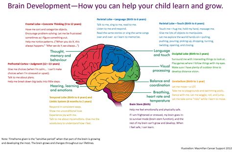 brain development  good days parenting blog