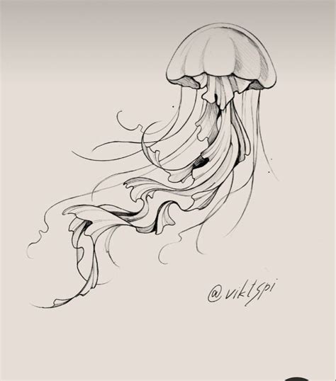 A Black And White Drawing Of A Jellyfish