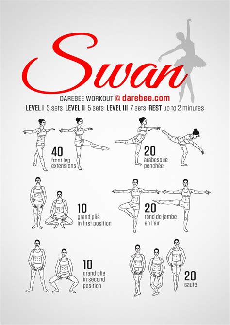 Ballet Swan Workout Dancer Workout Ballet Workout Ballet Exercises