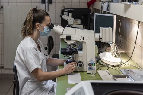 Laboratoire De Biologie M Dicale Centre Hospitalier De Saverne