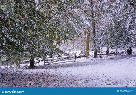 First snowfall at fall stock photo. Image of snowy, pasture - 6982324