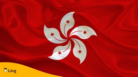 3 Fascinating Facts About The Hong Kong Flag For You! - ling-app.com